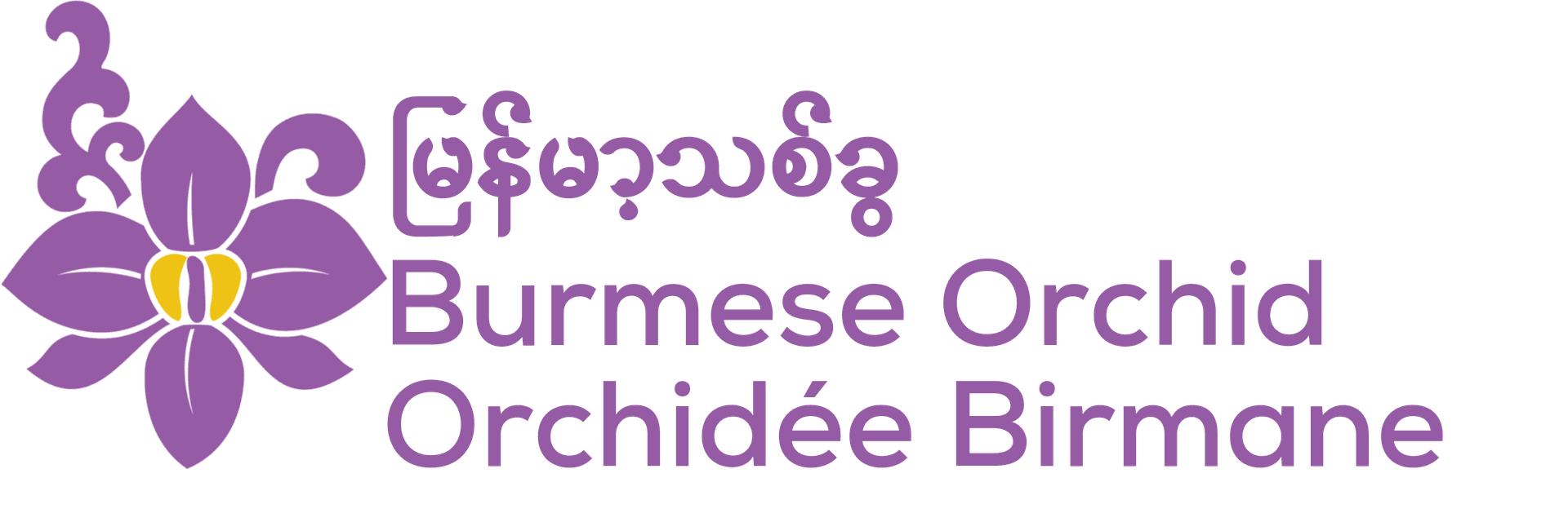 Burmese Orchid